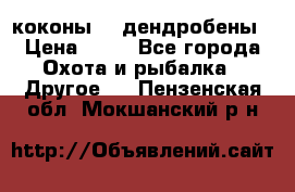 коконы    дендробены › Цена ­ 25 - Все города Охота и рыбалка » Другое   . Пензенская обл.,Мокшанский р-н